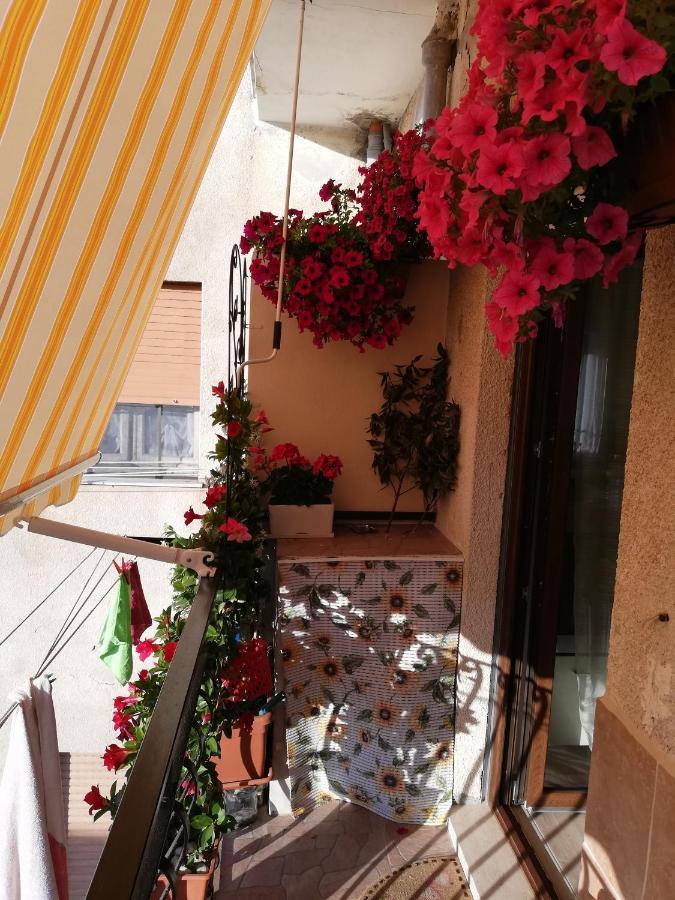 Bed and Breakfast L'Anfora Альгеро Экстерьер фото